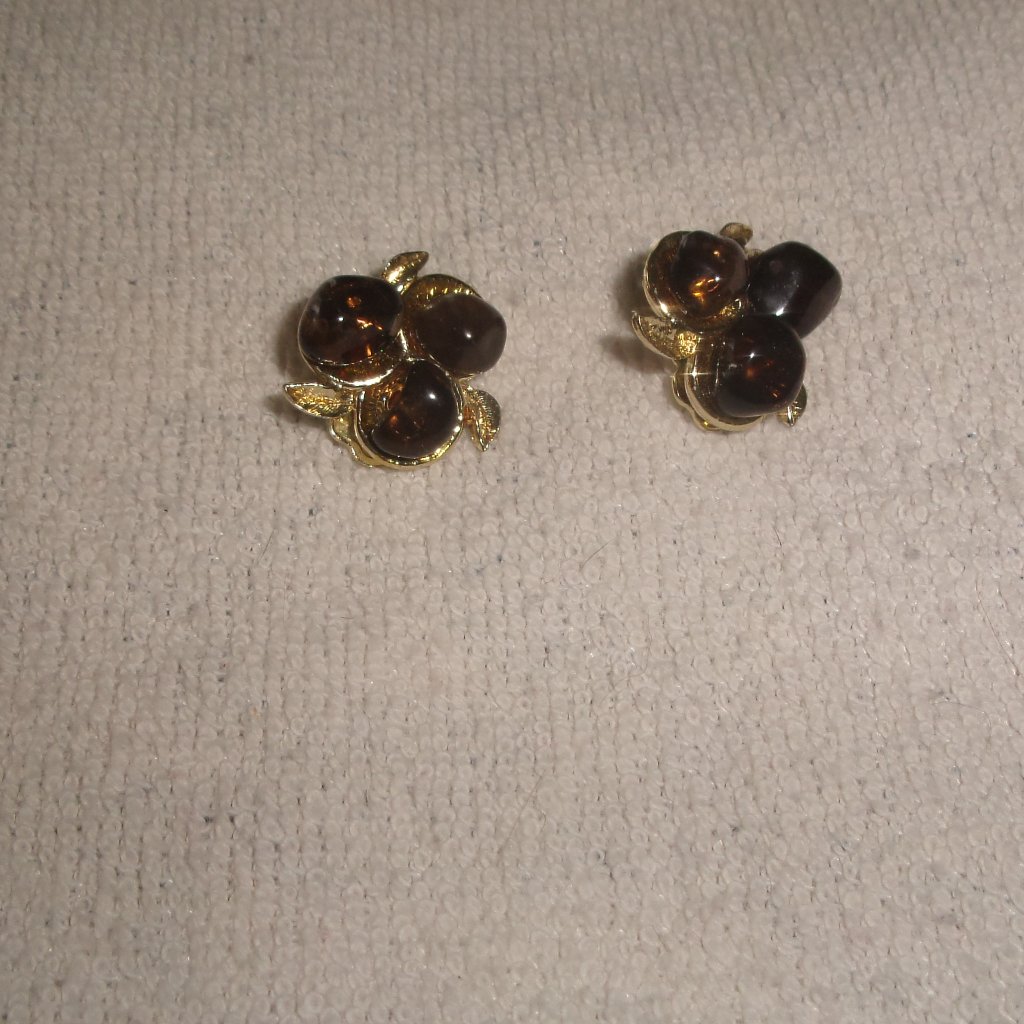 Dodds Clip Earrings Gold Tone Glass Brown Stones